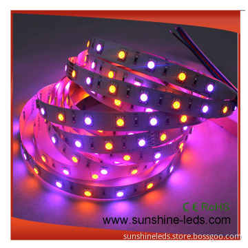 SMD5050 RGBA LED Strip Light with CE
